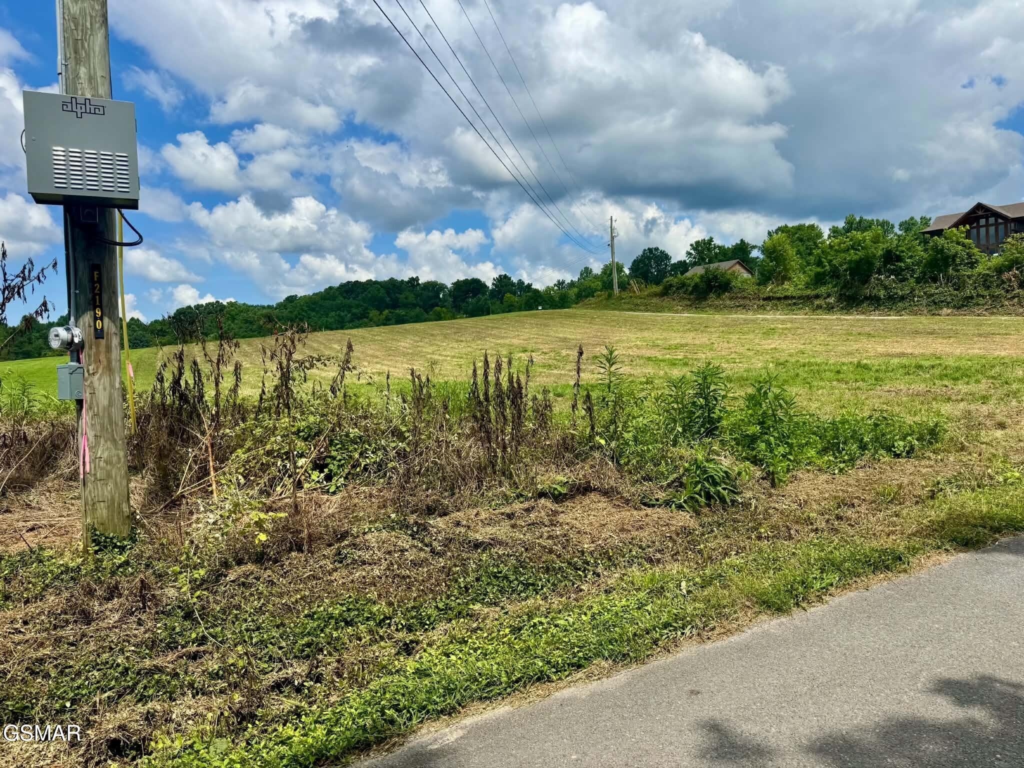 5420 Cocke County Line Road