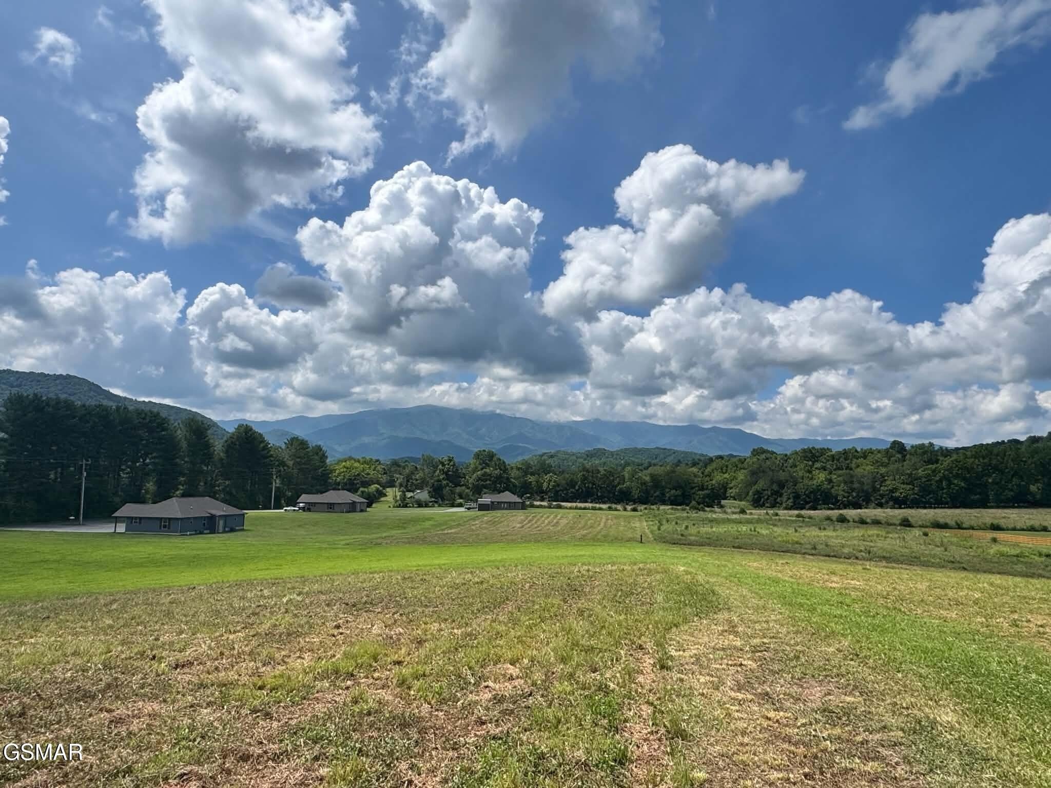5420 Cocke County Line Road