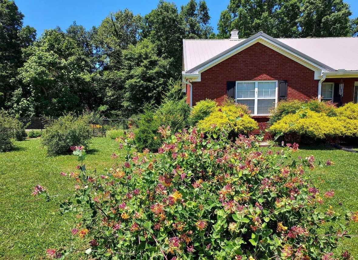 183 Taylor Ln