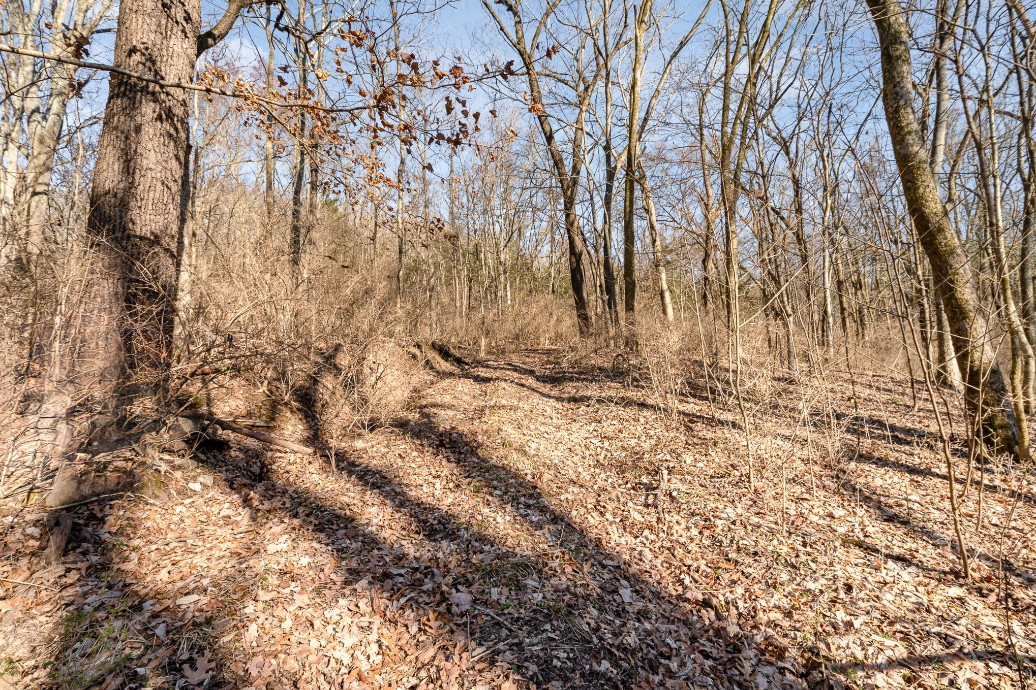 1009 Scramblers Knob