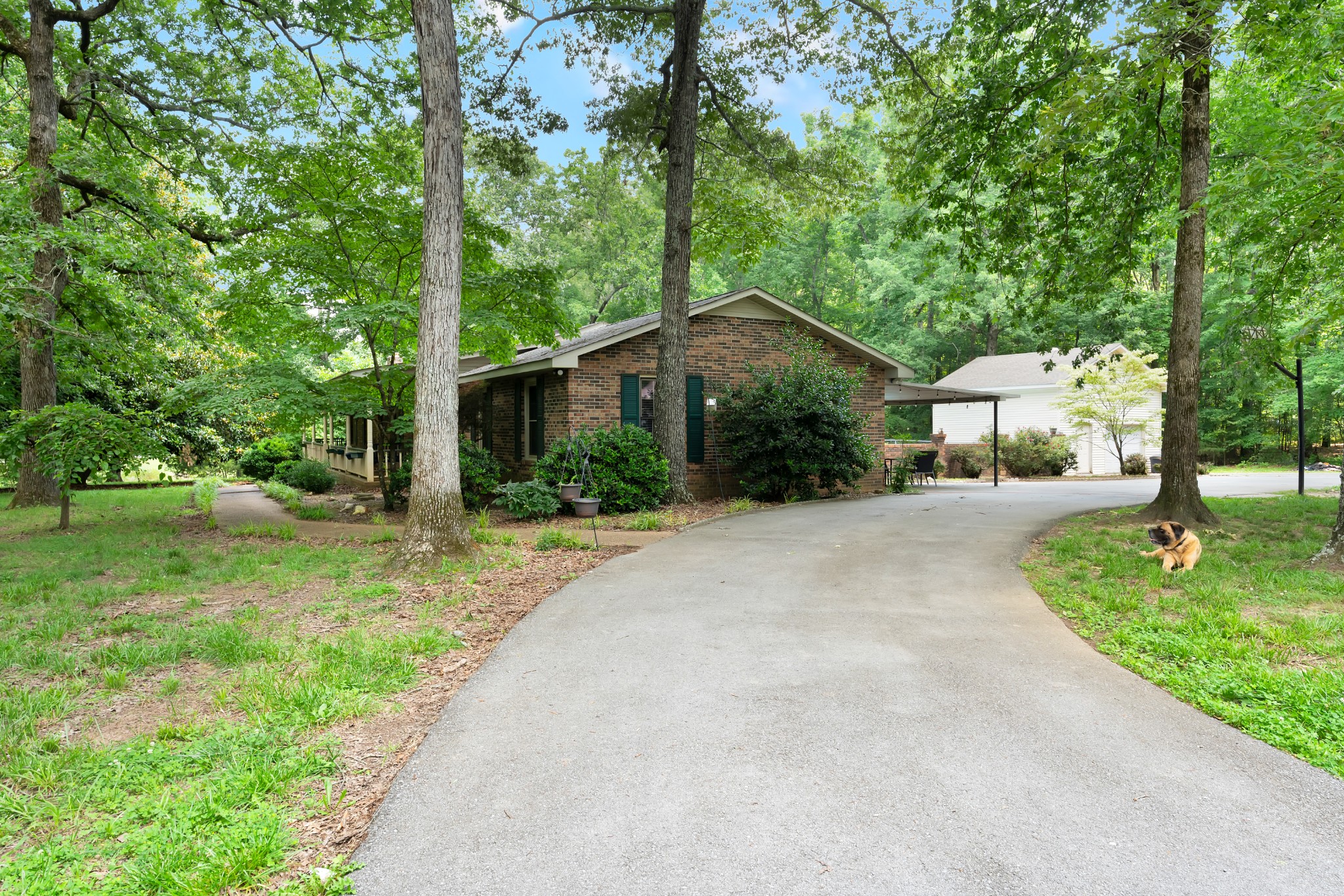 142 Dry Creek Ln