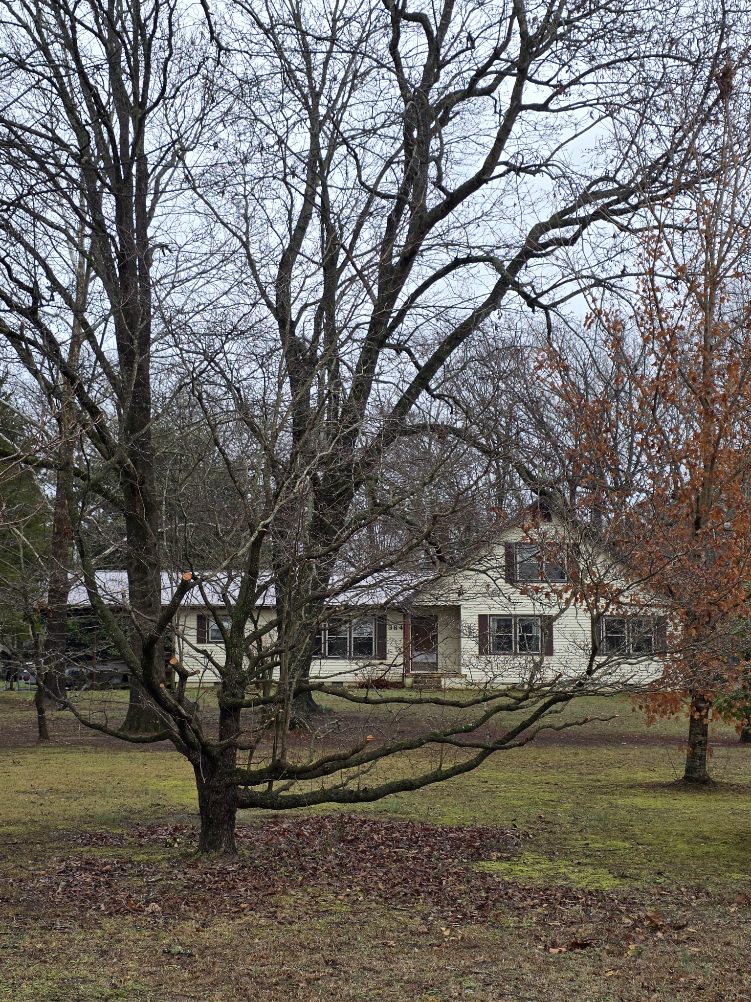 3846 New Bushy Branch Rd