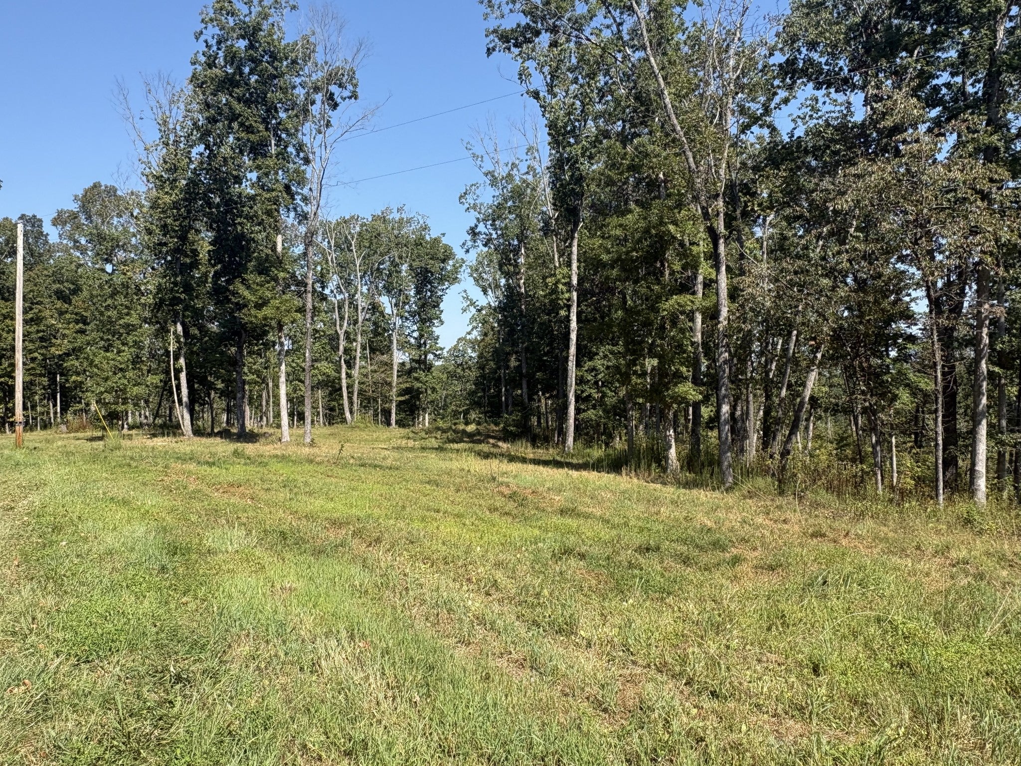 0 Shelton Cemetery Rd