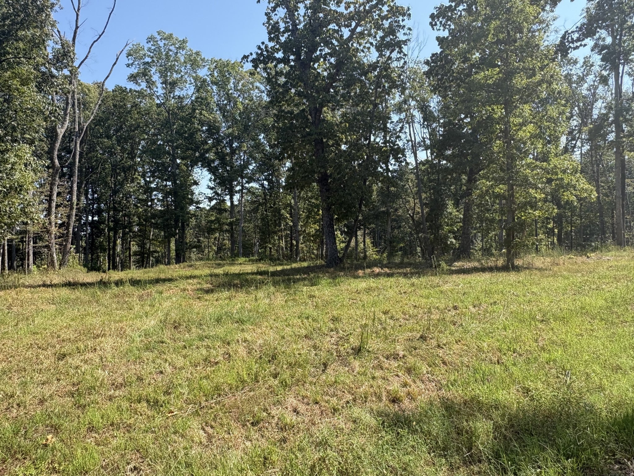0 Shelton Cemetery Rd