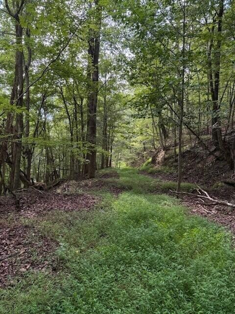 0 South Pittsburg Mountain Road