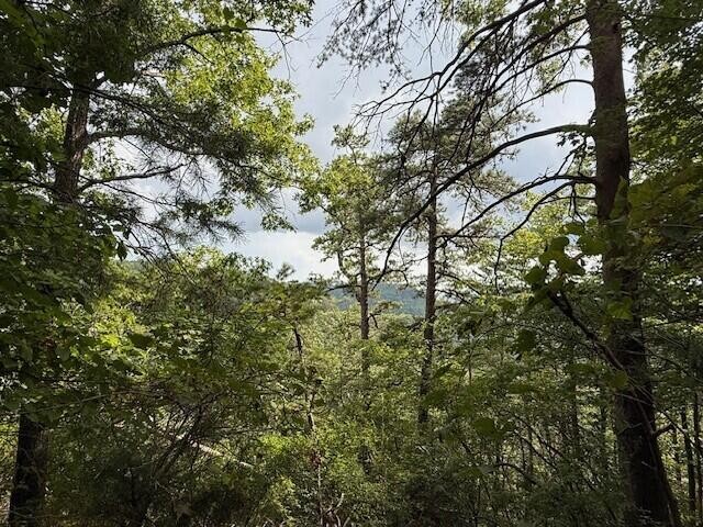 0 South Pittsburg Mountain Road