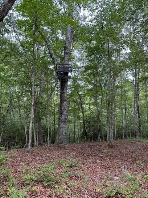 0 South Pittsburg Mountain Road