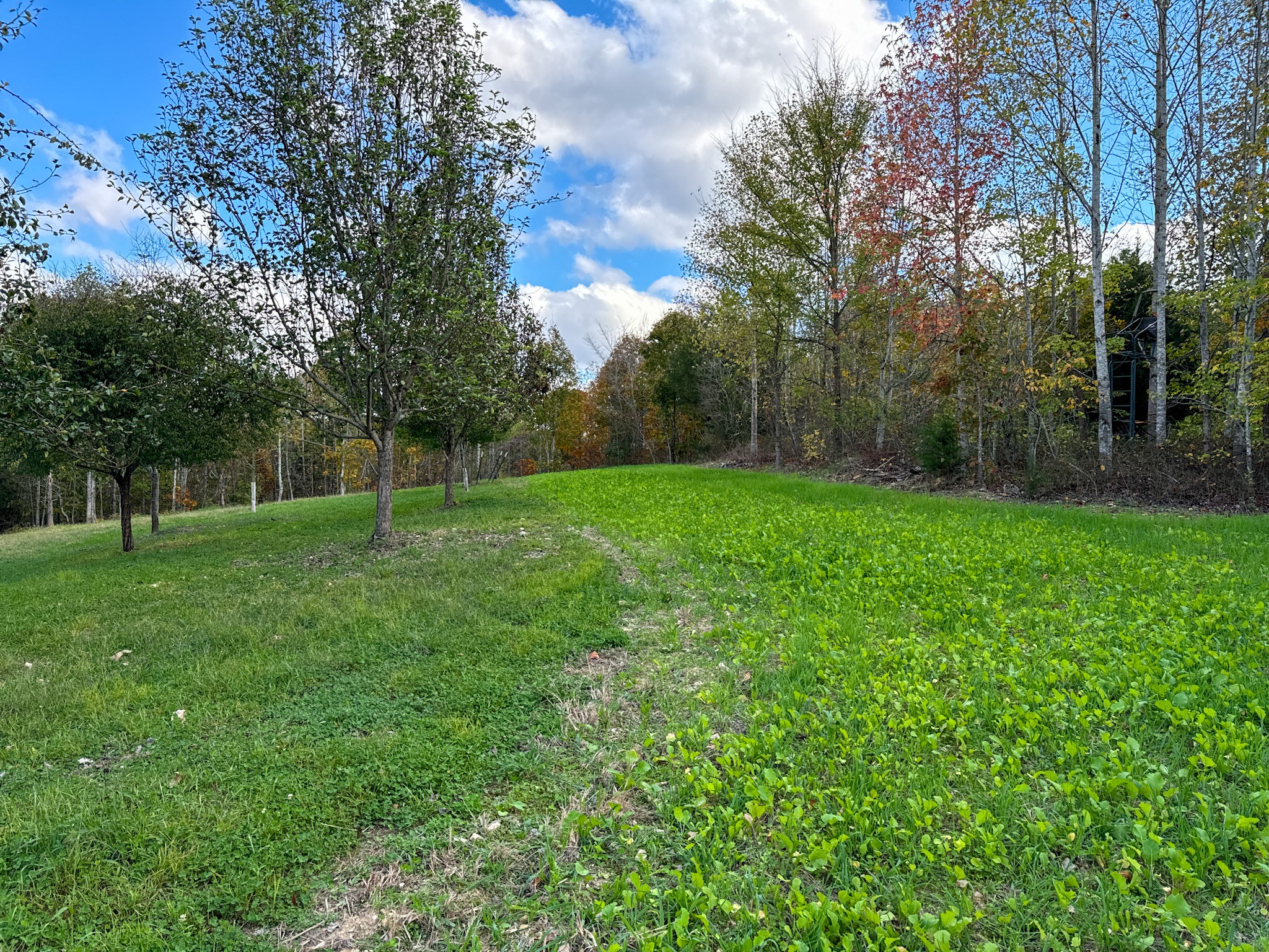 0 Ledbetter Hollow Rd