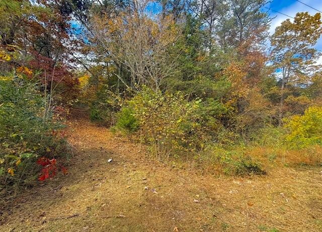 9 Reed Bull Rd
