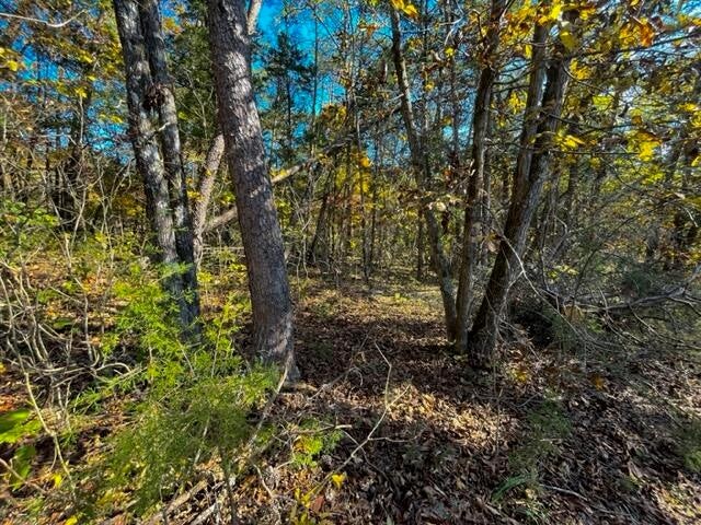 9 Reed Bull Rd