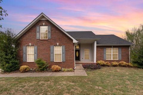 302 Bailey Ln Pleasant View TN 37146