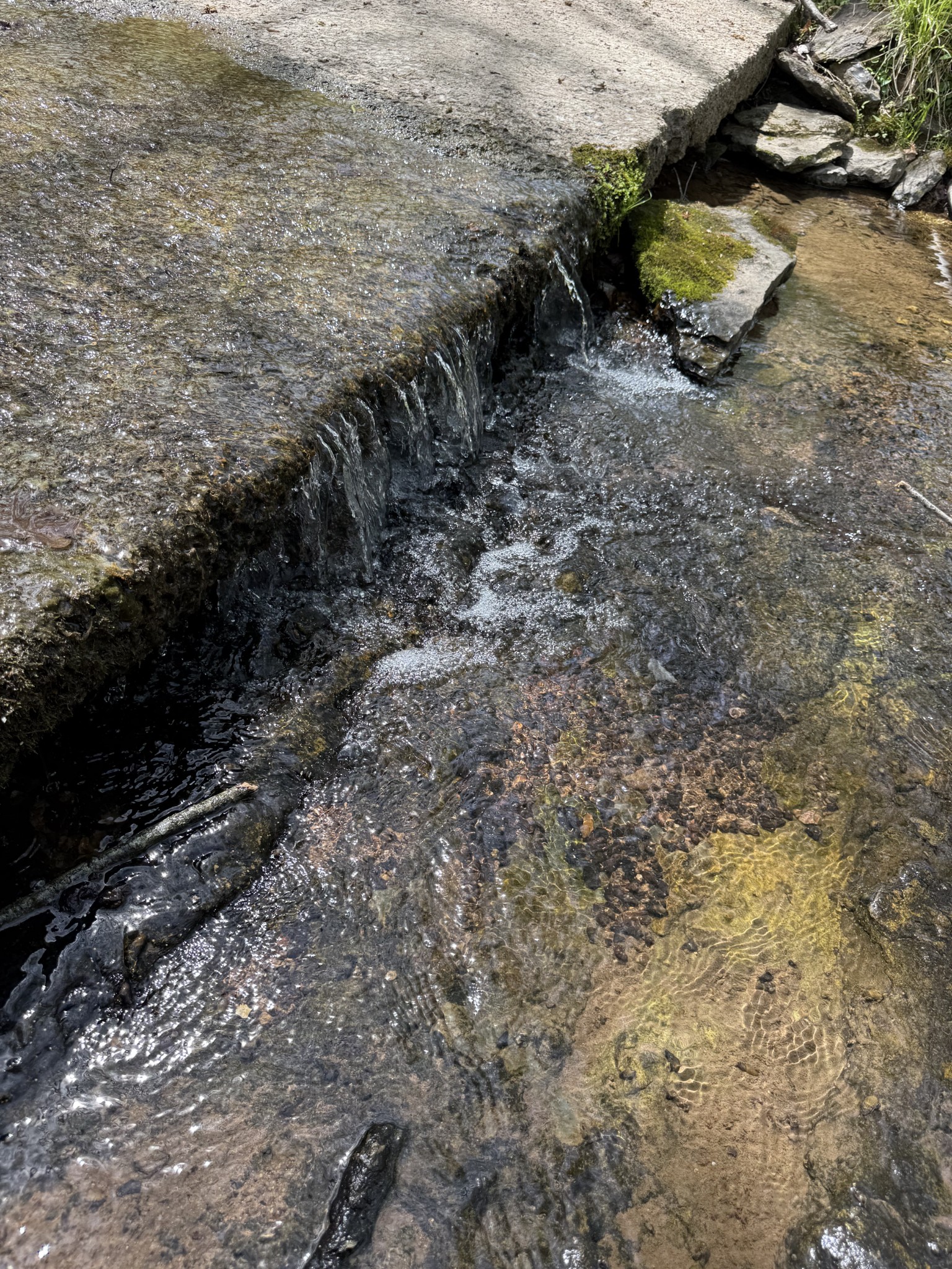 562 Junus Jackson Hollow Rd