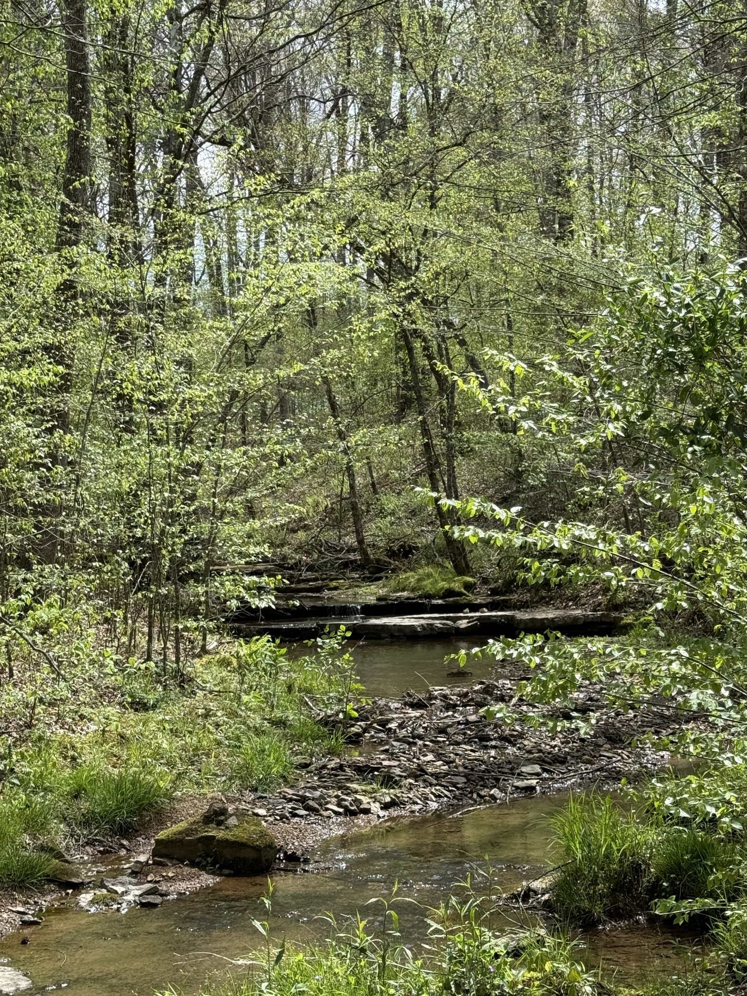 562 Junus Jackson Hollow Rd