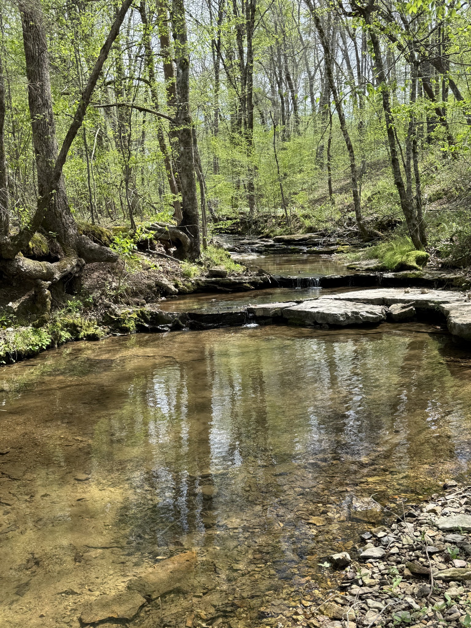 562 Junus Jackson Hollow Rd