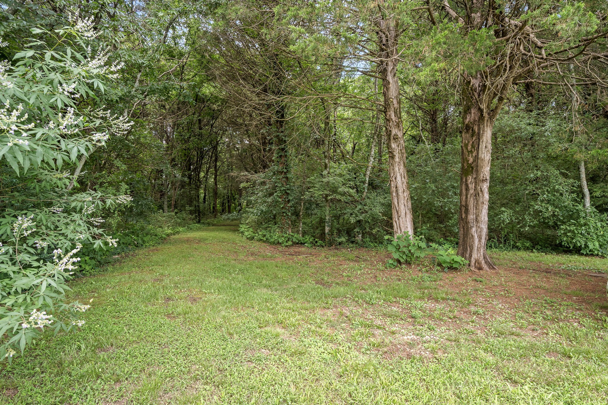 702 JOHN WINDROW RD