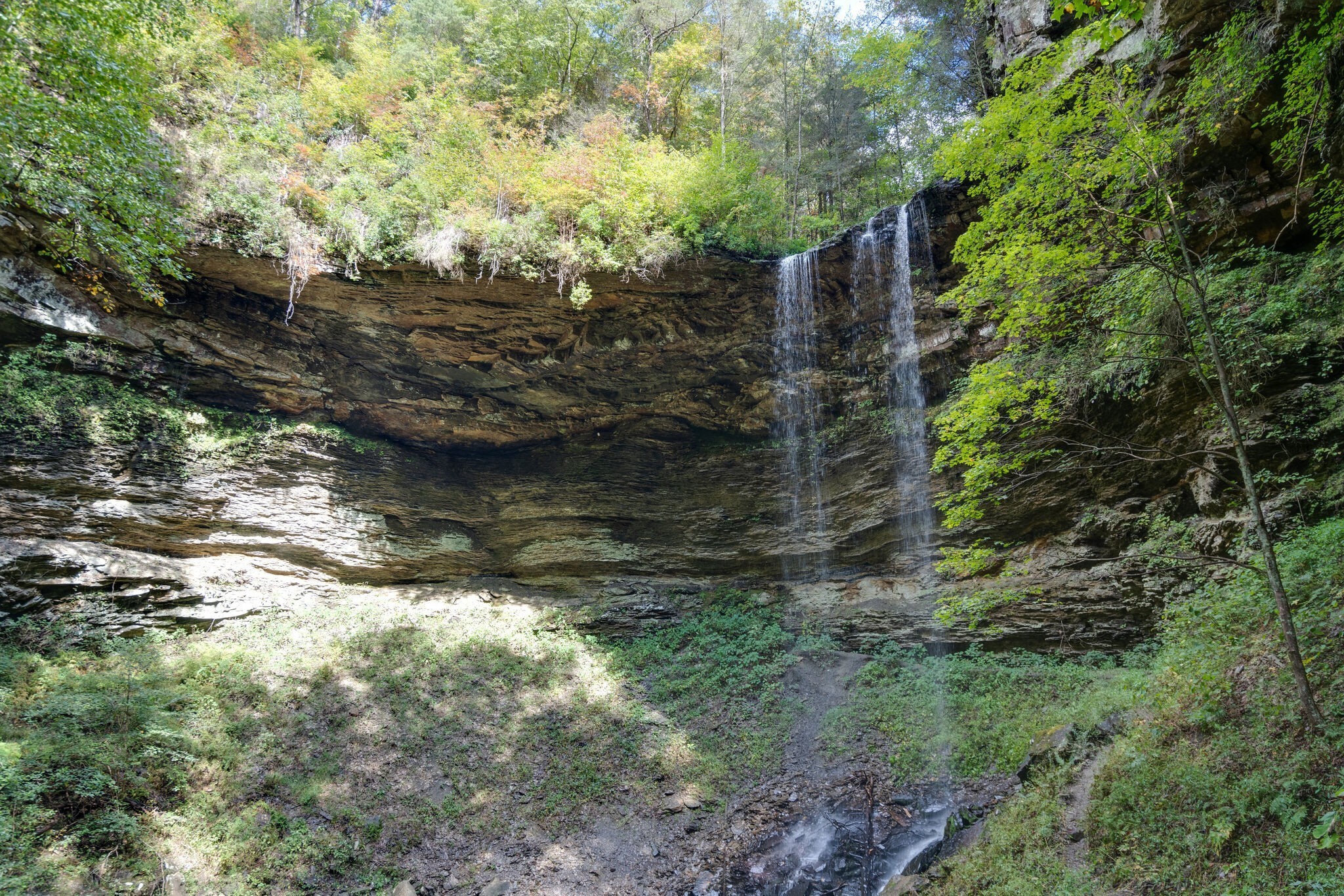 72 Lady Slipper Lane