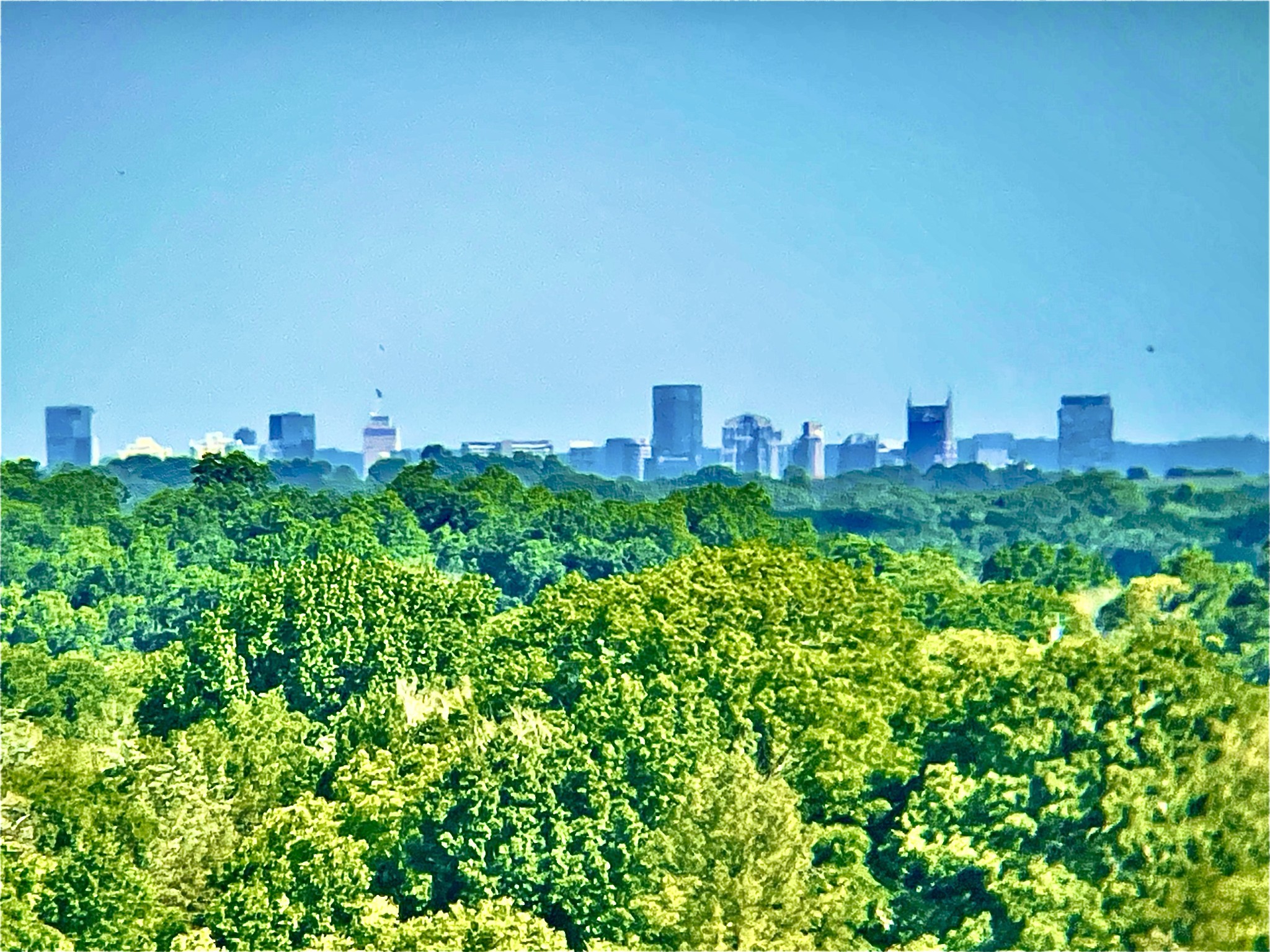Middle Tennessee Properties 1 2681 York Rd