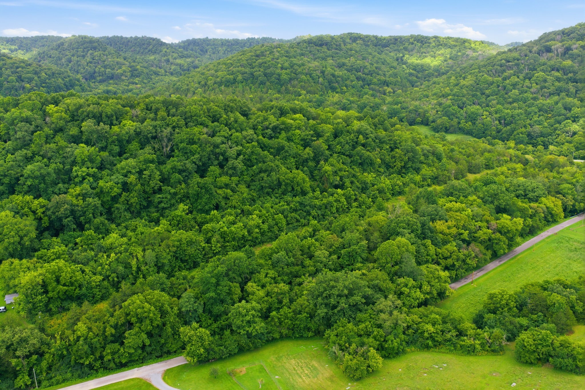 5023 Burt Burgen Rd - Photo 3