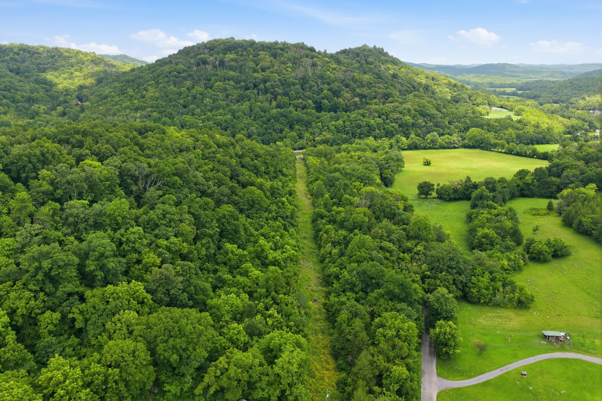 5023 Burt Burgen Rd - Photo 4