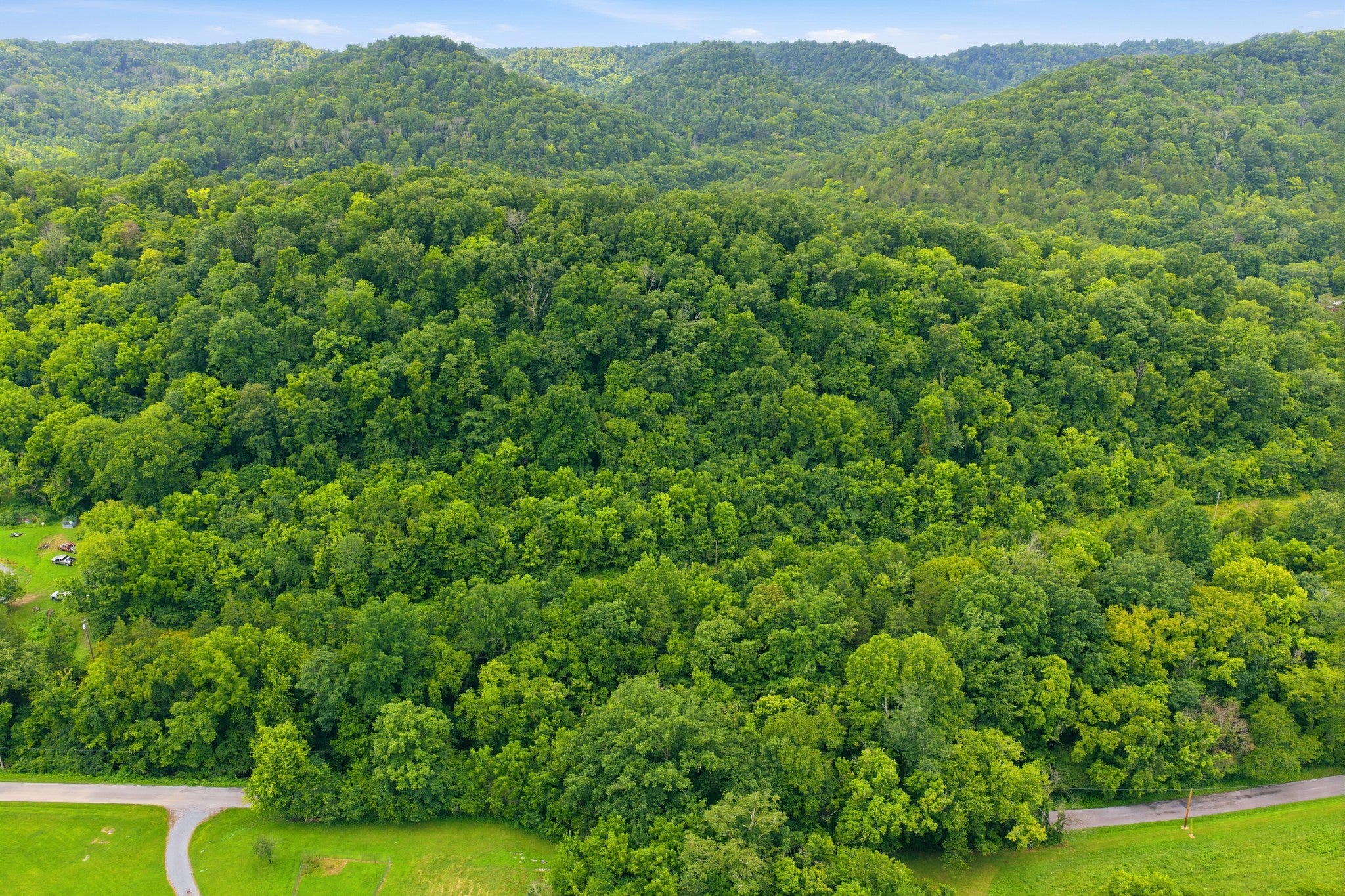 5023 Burt Burgen Rd - Photo 2