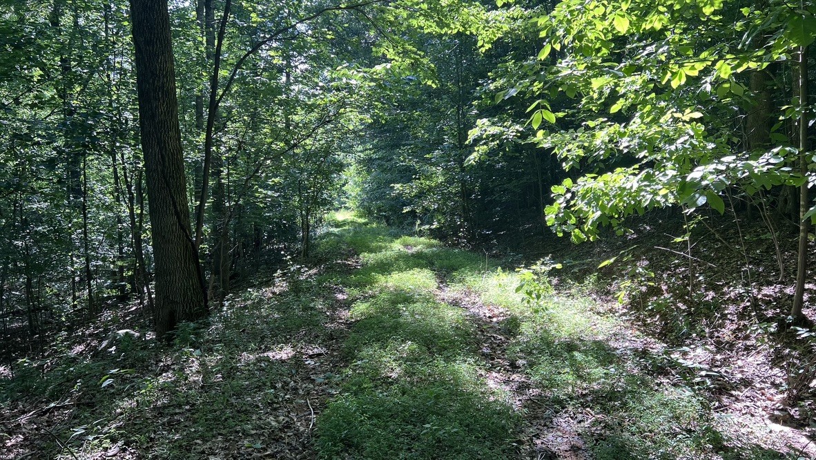 0 Freeman Loop