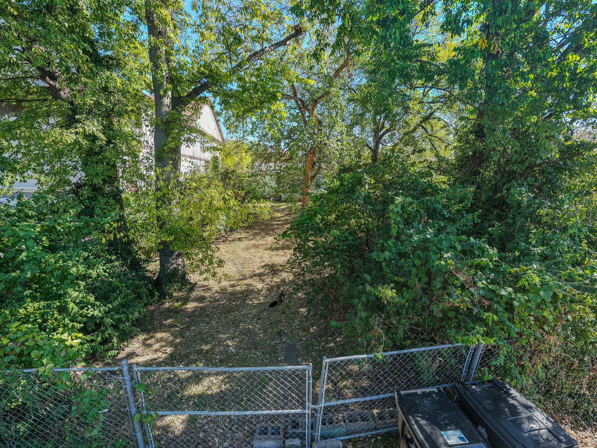 1221 14th Ave S