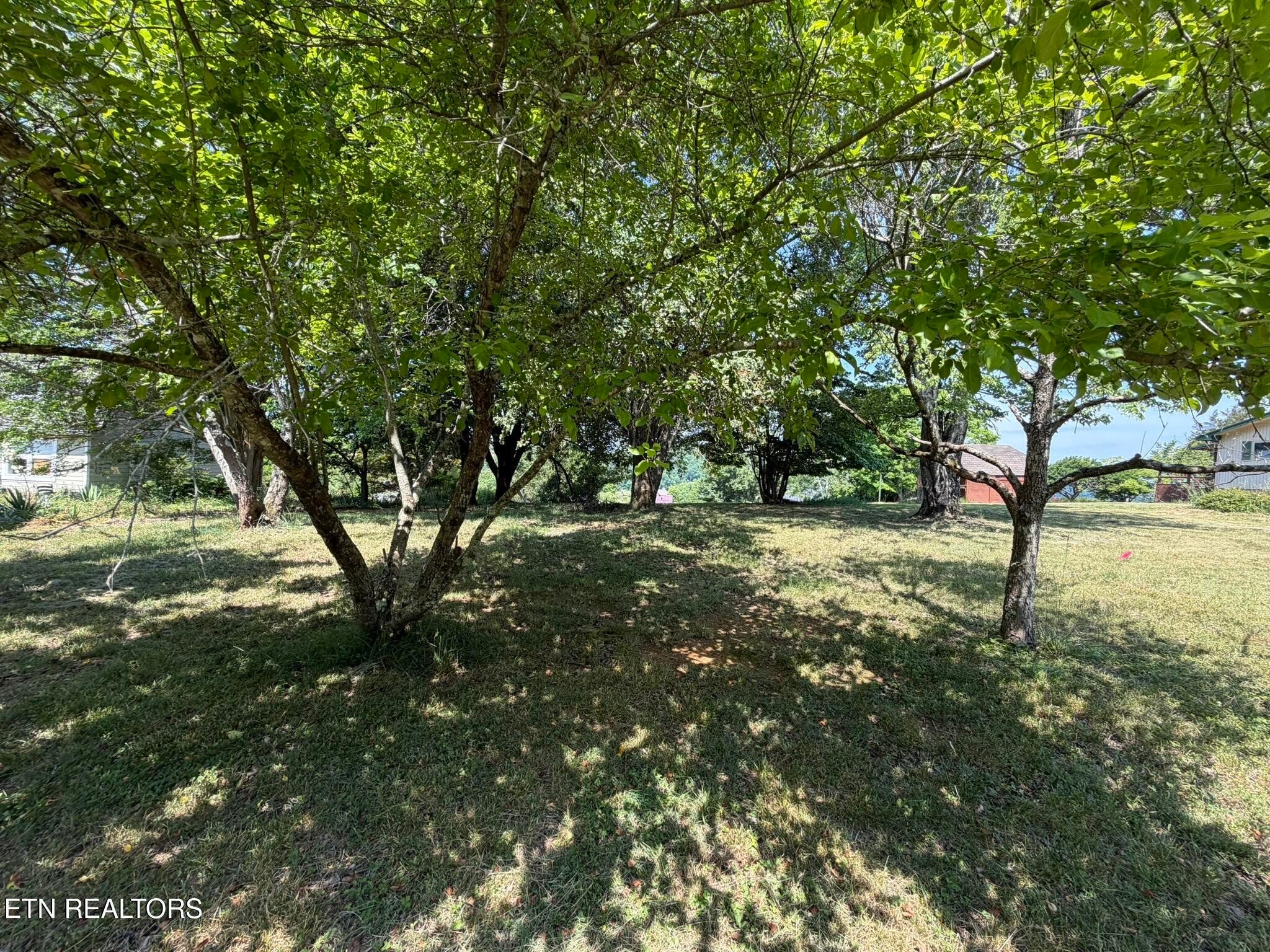 23 Morris Lane