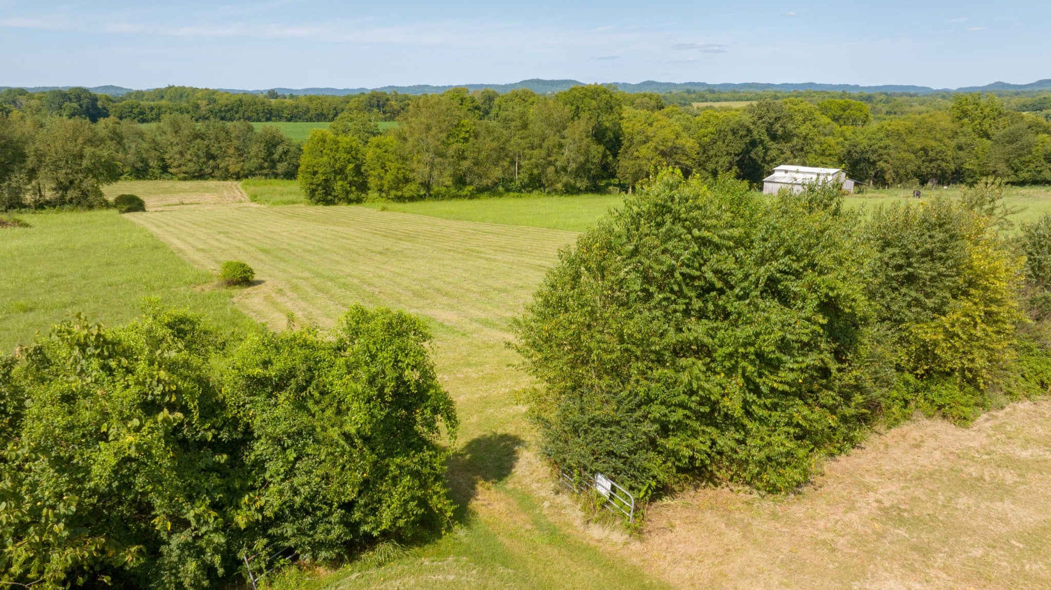 515 Branham Mill Rd