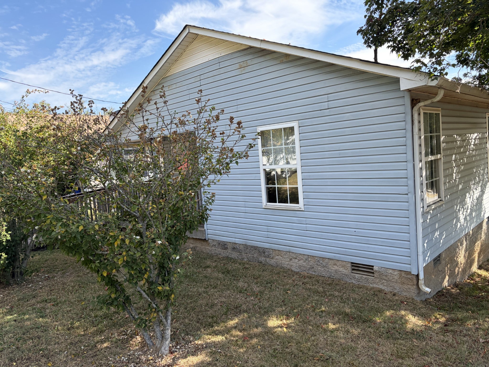 1115 Haley St