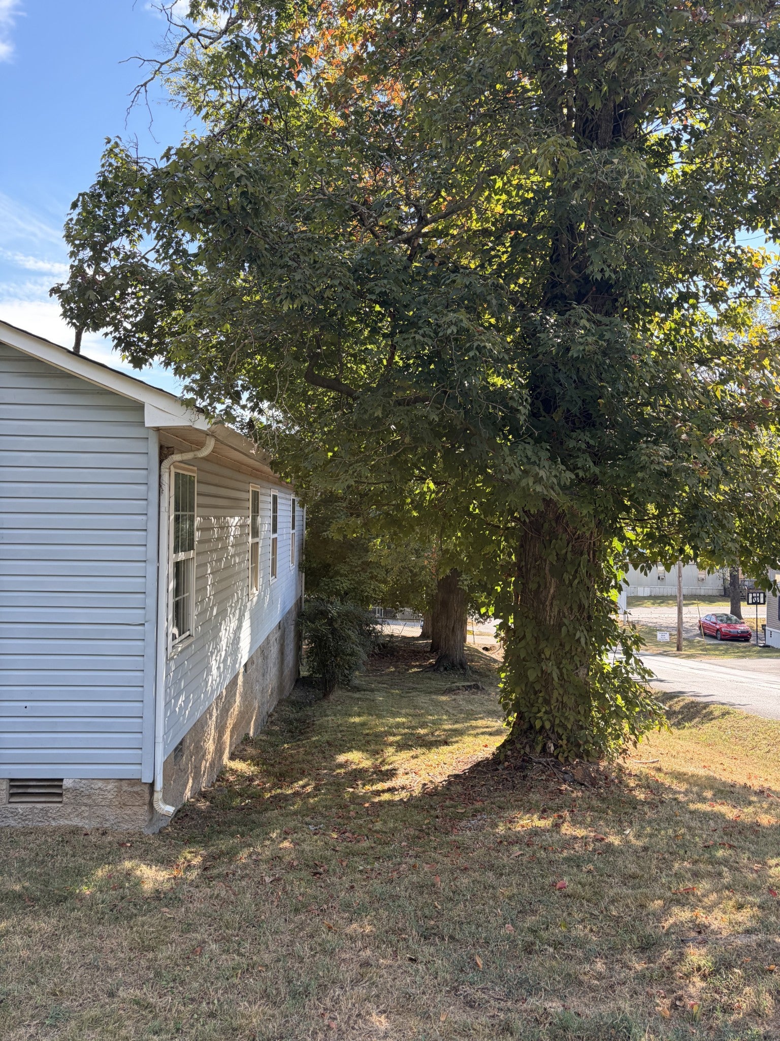 1115 Haley St