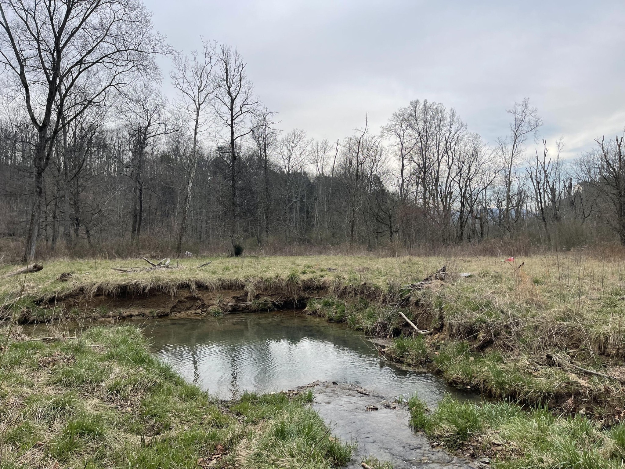 15634 Old State Highway 28