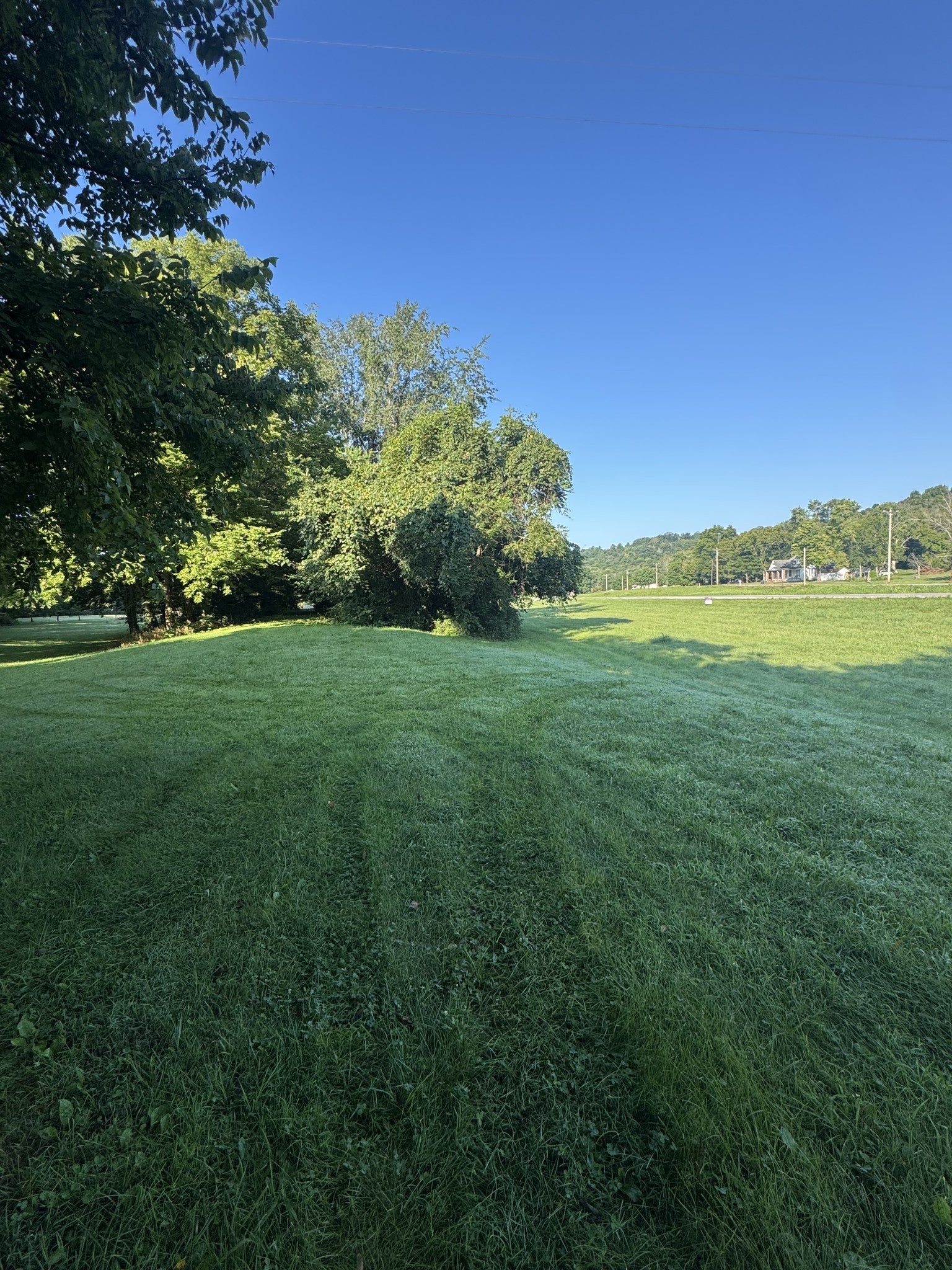 3992 Hwy 31E