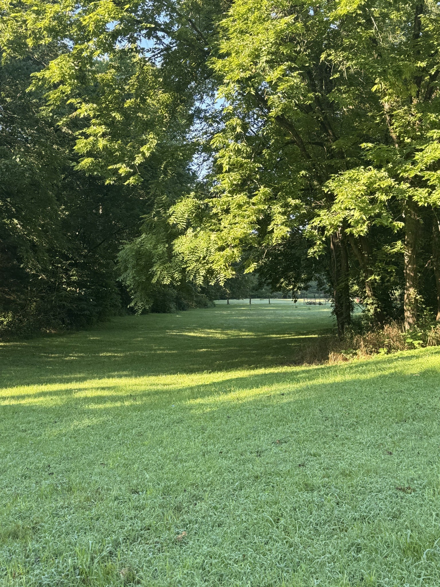 3992 Hwy 31E