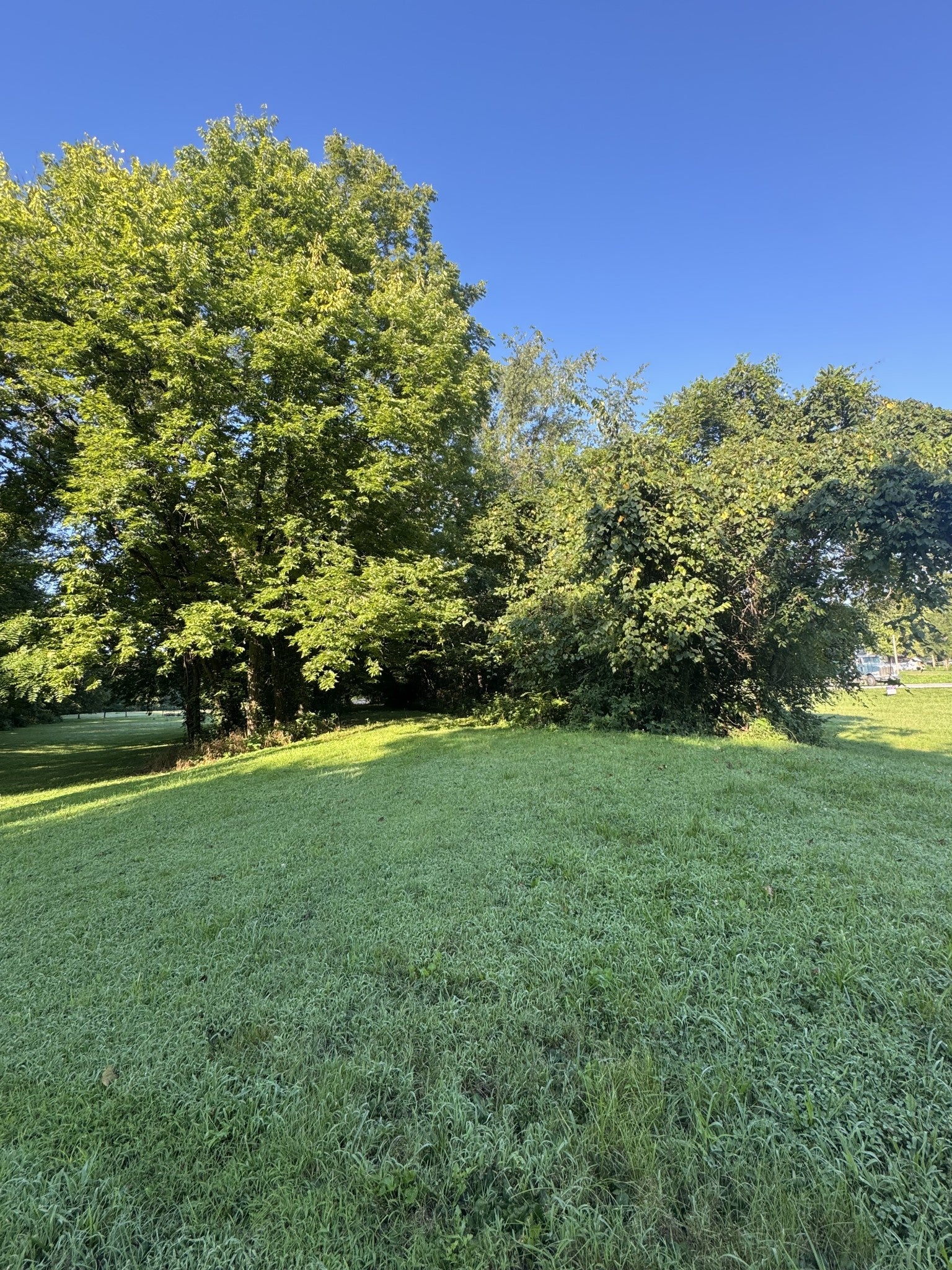 3992 Hwy 31E