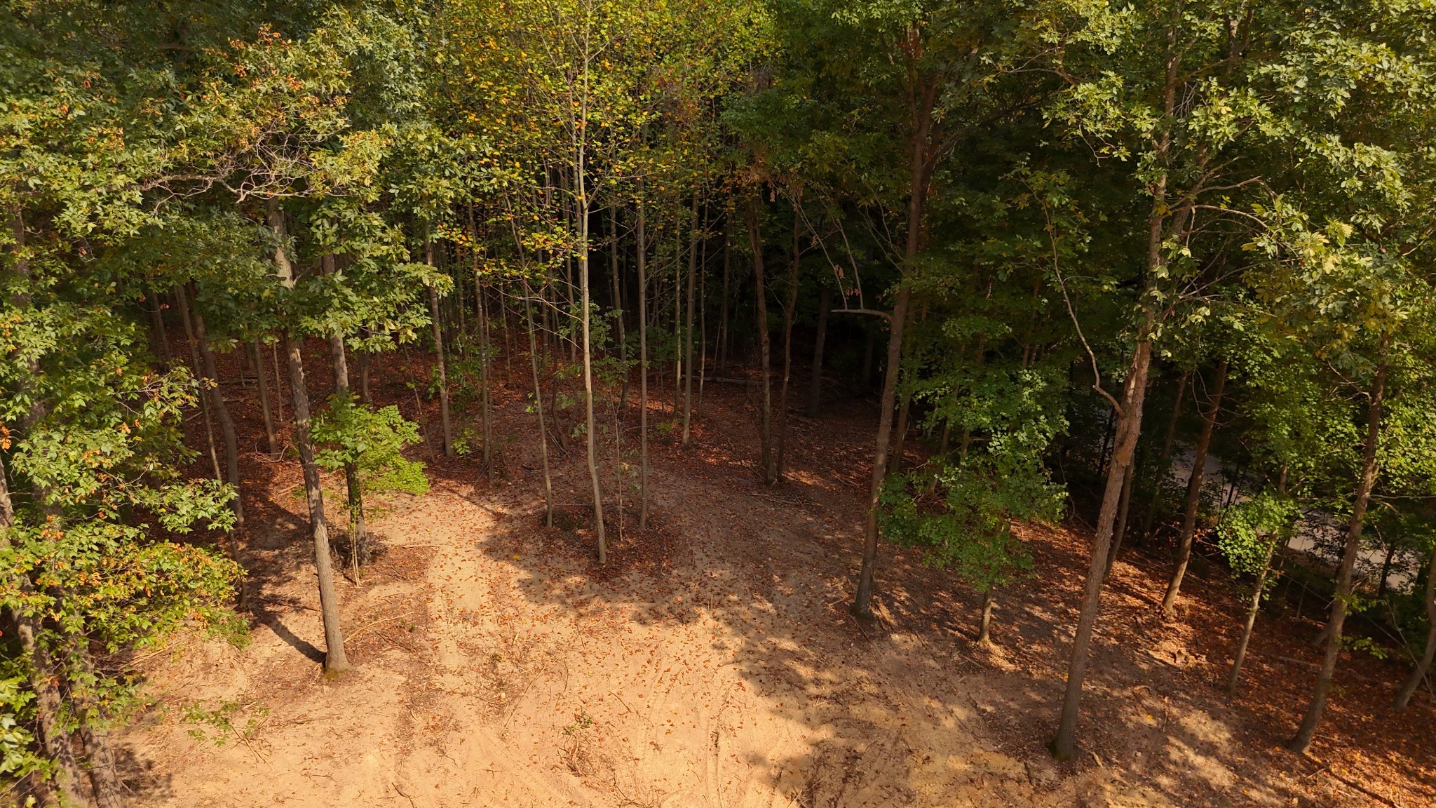 7950 Bill Moss Rd