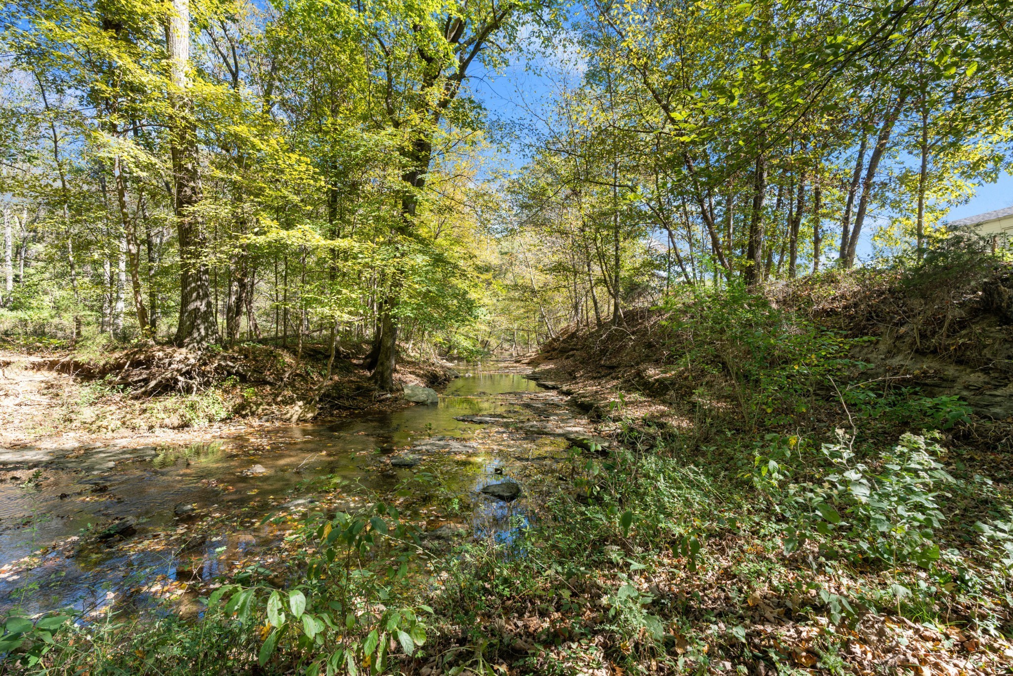 1036 Kaity Brooke Rd