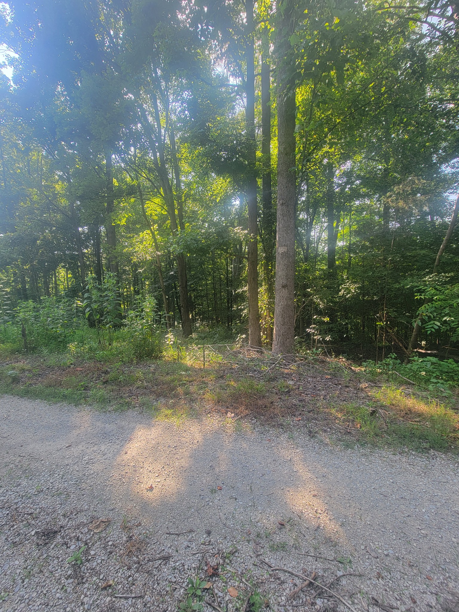 5395 Eastport Dock Rd