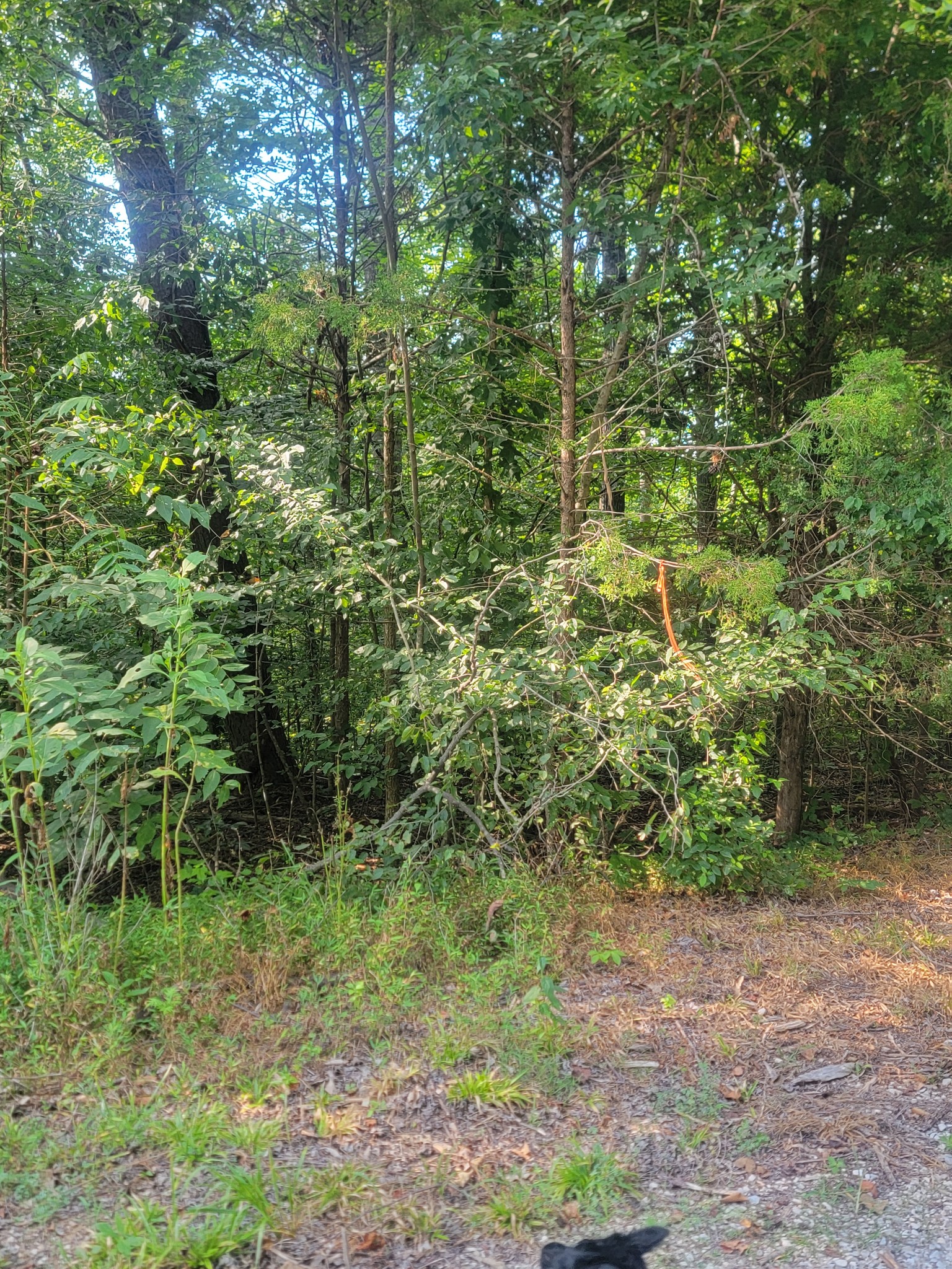 5395 Eastport Dock Rd