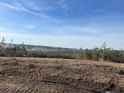 8072 Old Hohenwald Rd