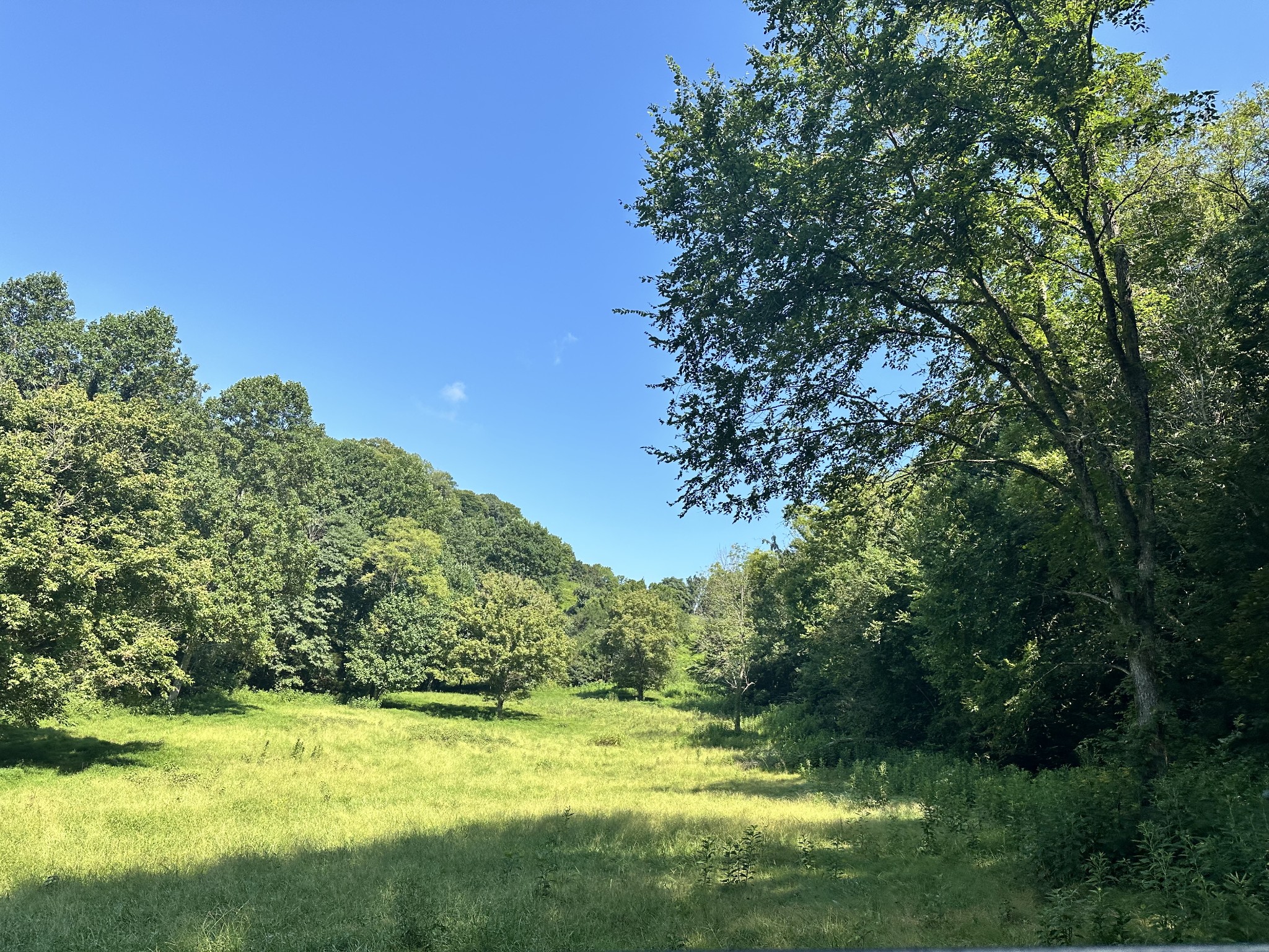 167 Green Hill Rd