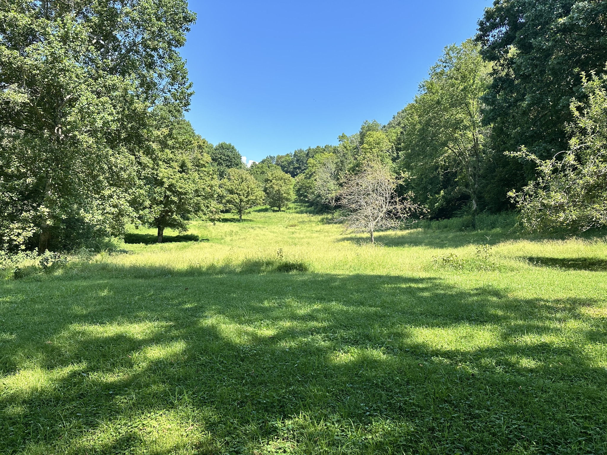 167 Green Hill Rd
