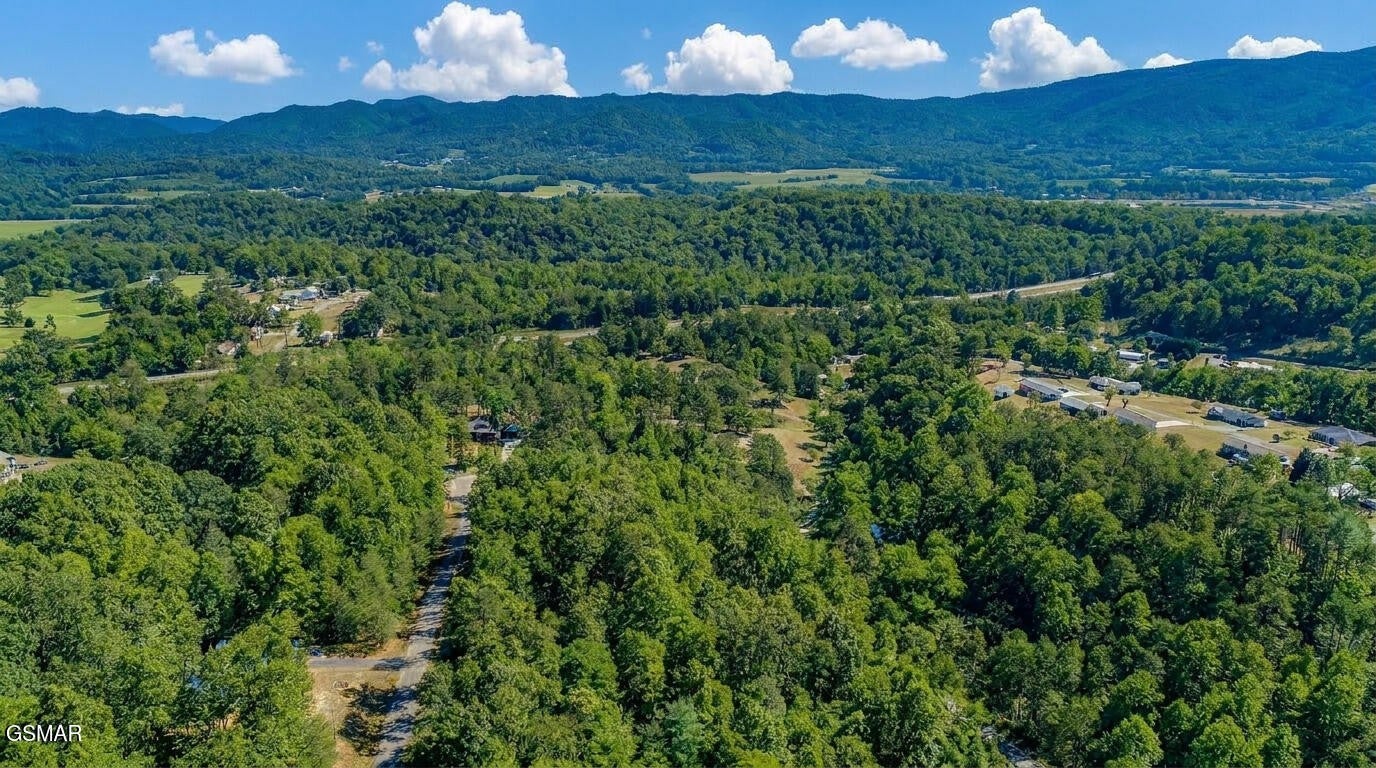 1413 Timber Trail