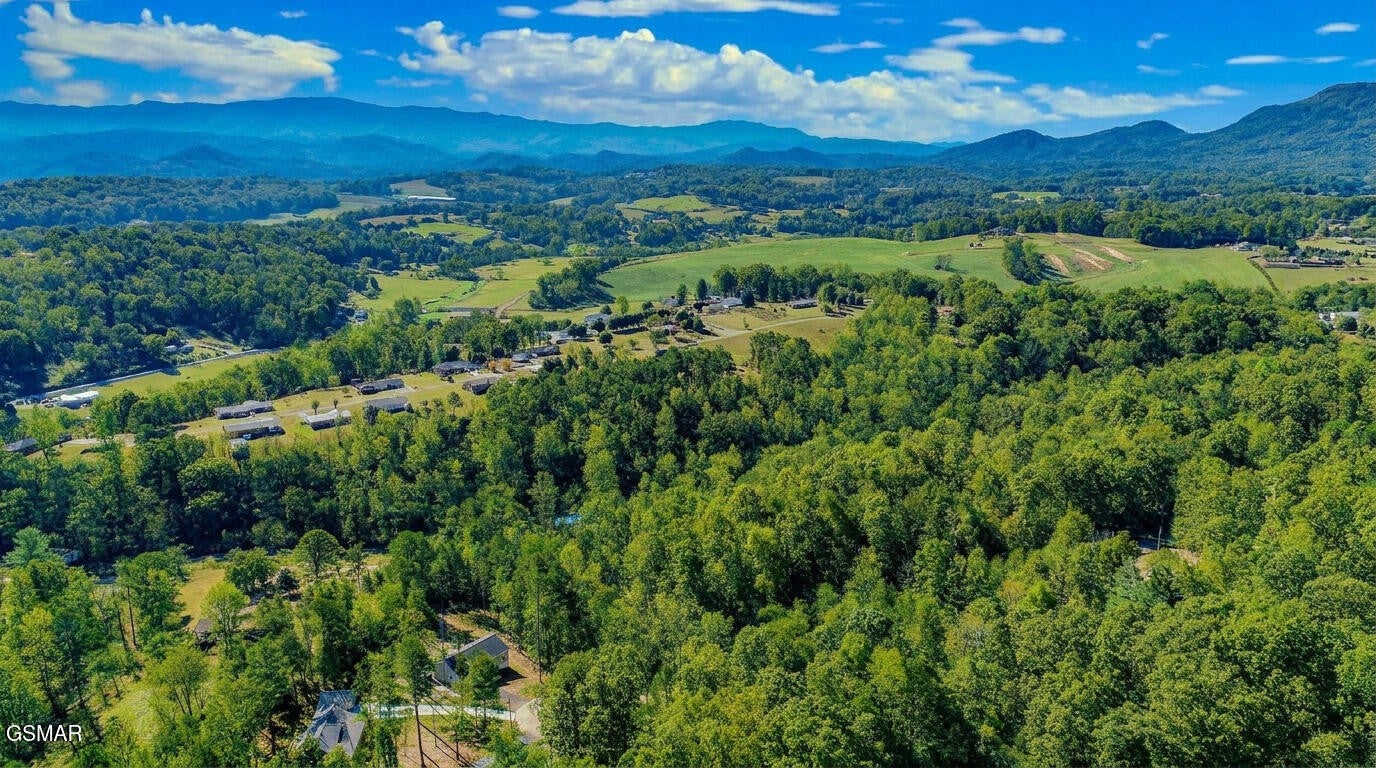 1413 Timber Trail