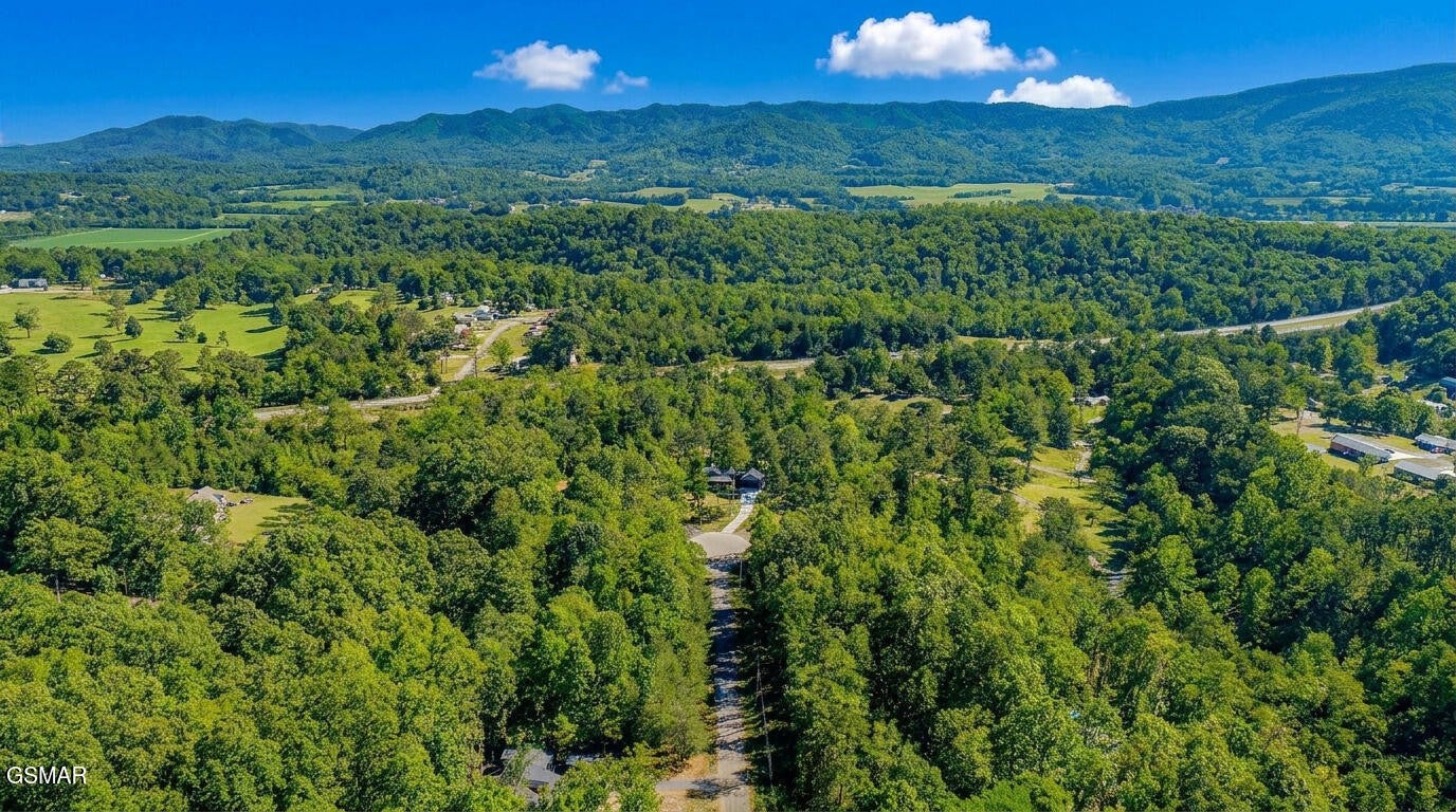 1413 Timber Trail