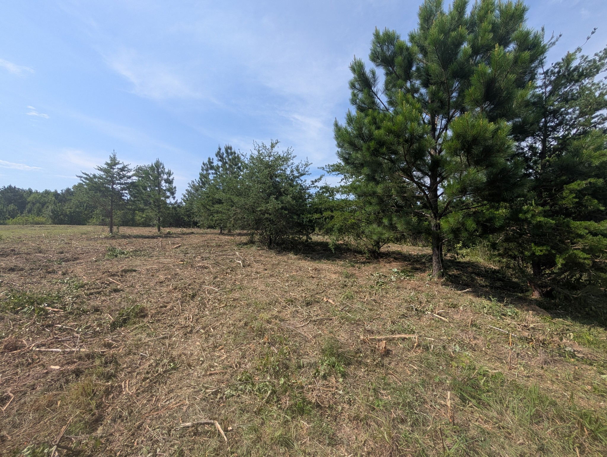 0 Bluff Springs Rd