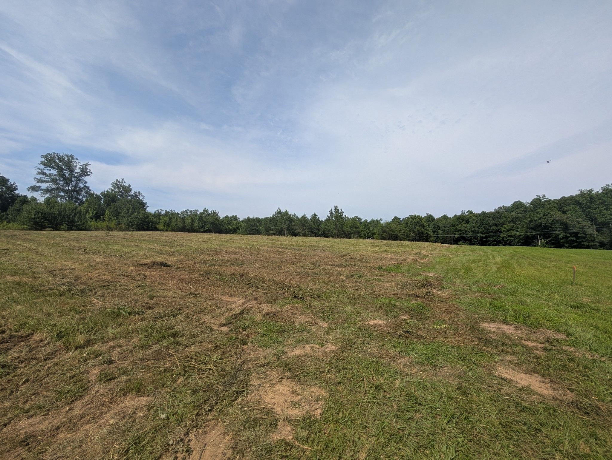 0 Bluff Springs Rd
