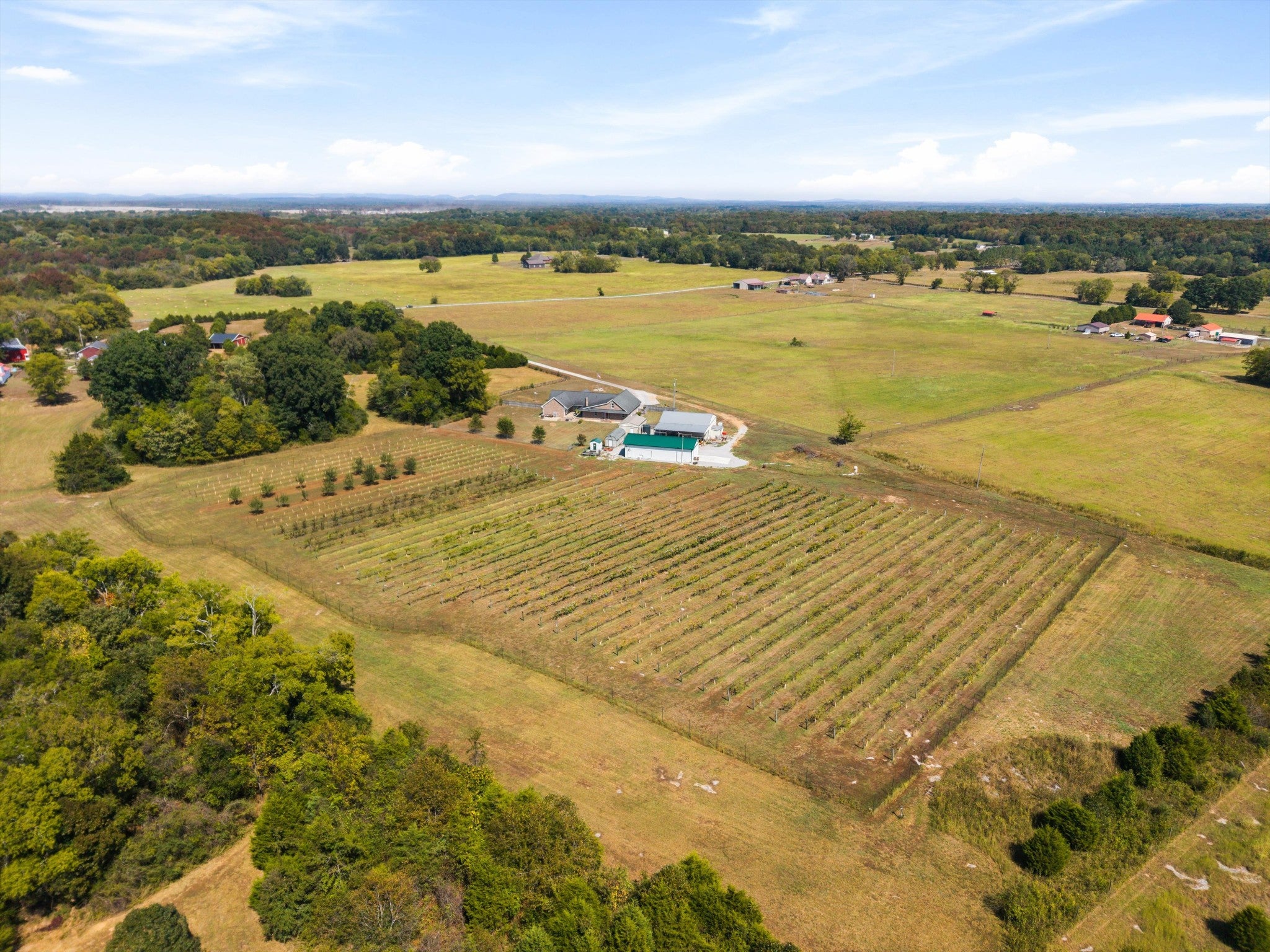 3595 Clark Road