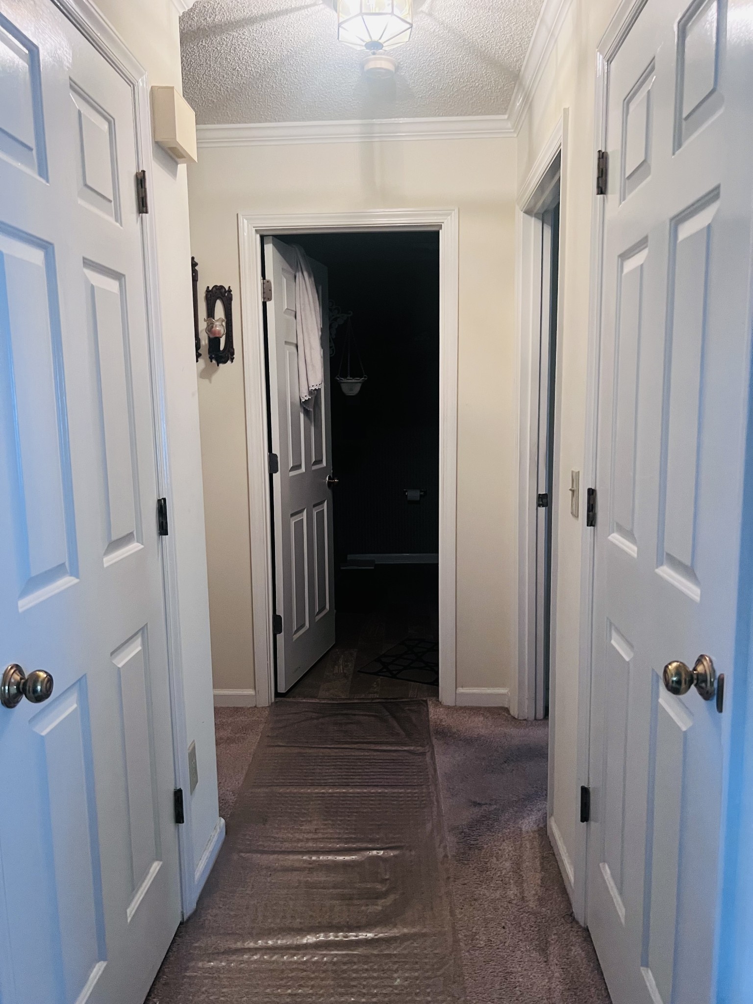 105 Dogwood Ct
