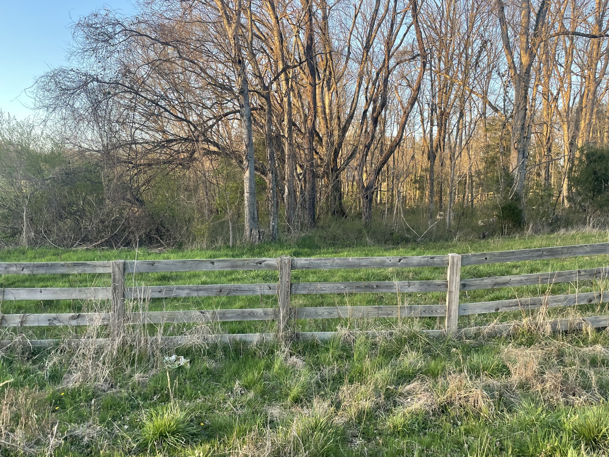 0 Double Branch Road