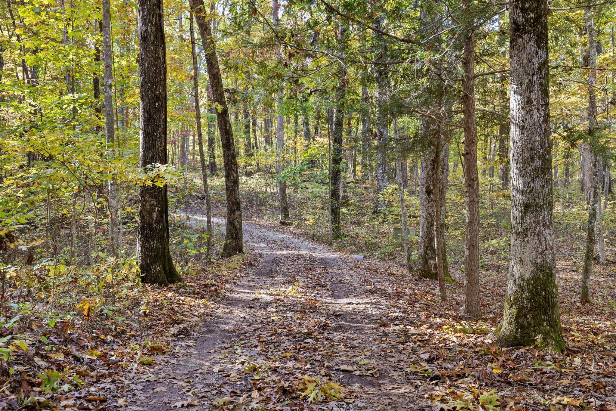 680 Rattlesnake Spring Road